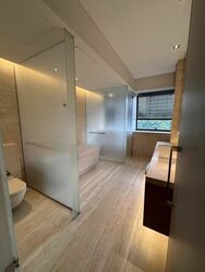 Hana (D10), Condominium #497122981